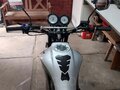 2023 Racer Tiger, серый, 90000 рублей - вид 10