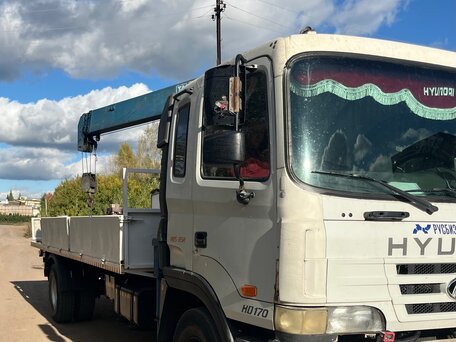 2007 Hyundai HD170, белый, 4200000 рублей, вид 2