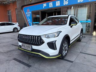 2022 Haval Chitu, белый, 1479000 рублей, вид 1