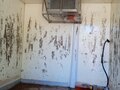 2006 ГАЗ ГАЗель (3302), красный, 230000 рублей - вид 8