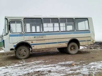 2005 ПАЗ 3206, белый, 387183 рублей - вид 2