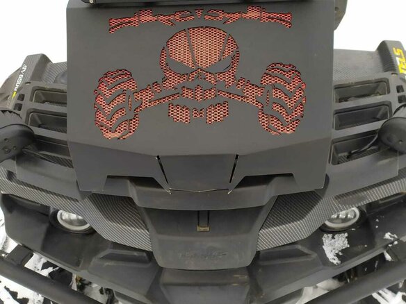 2019 Stels ATV-650 Guepard Trophy, серый, 740000 рублей - вид 5