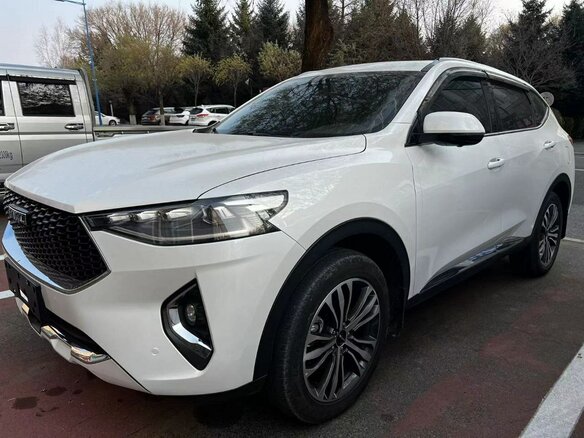 2019 Haval F7 I, белый, 1900000 рублей - вид 11