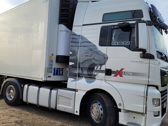 2019 MAN TGX, белый, 8915004 рублей - вид 7