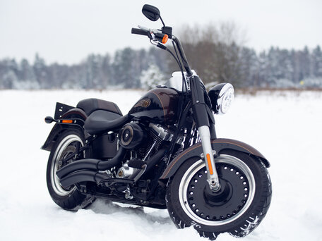 2013 Harley-Davidson Fat Boy, коричневый, 1350000 рублей, вид 1