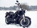 2013 Harley-Davidson Fat Boy, коричневый, 1350000 рублей