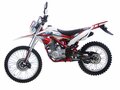 2026 Wels MX250R, красный, 157000 рублей - вид 2