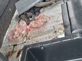 2009 ГАЗ ГАЗель (3302), бежевый, 670000 рублей - вид 2
