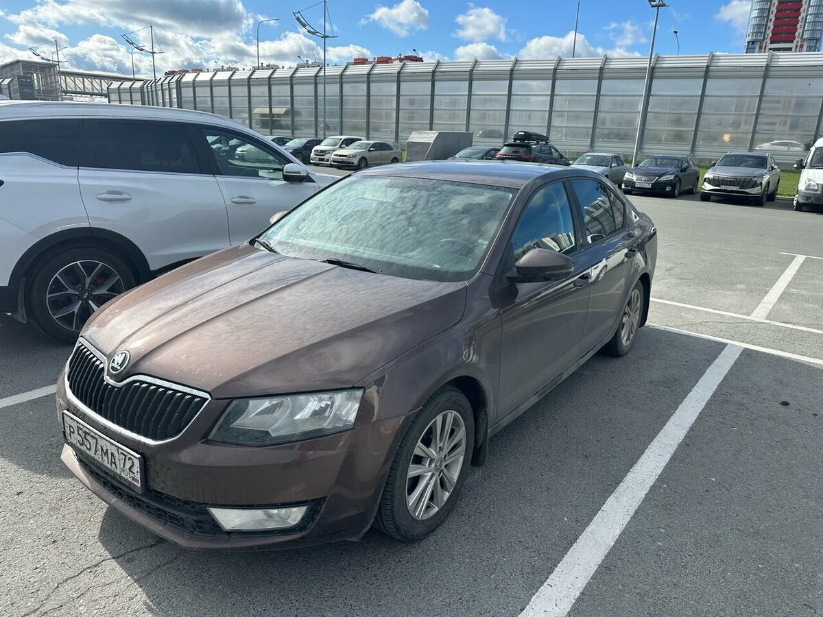 Открыть фотографии: Skoda Octavia III (A7)