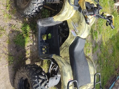 2020 Promax ATV 250, зелёный, 215000 рублей, вид 2