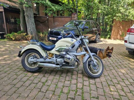 1998 BMW R 1200 C, бежевый, 755000 рублей, вид 2