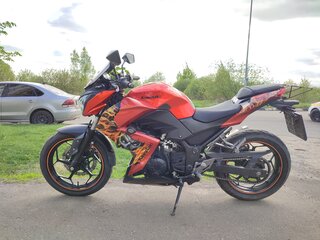 Kawasaki Z 250