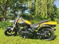 2008 Suzuki Boulevard M50, жёлтый, 555000 рублей