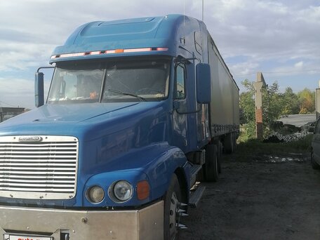 2002 Freightliner Century Class, синий, 1250000 рублей, вид 3