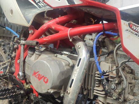 2016 Kayo Basic TT140, красный, 66000 рублей, вид 5