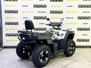 2025 Bashan Explorer 300, белый, 429000 рублей, вид 5