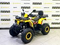 2025 Bison Warrior 200, жёлтый