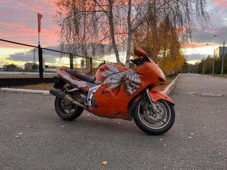 2001 Honda CBR 1100 XX, оранжевый, 429999 рублей, вид 5