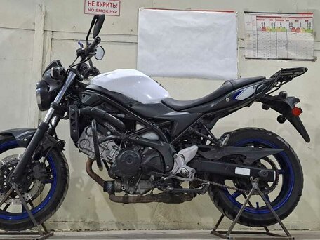 2016 Suzuki SV 650, белый, 540000 рублей, вид 1