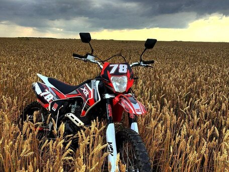 2024 Motoland XR300, красный, 76000 рублей, вид 2