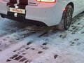 2019 Dodge Charger R__T VII (LD) Рестайлинг, белый, 4300000 рублей - вид 5