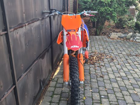 2019 Avantis Enduro 250, красный, 165000 рублей, вид 4
