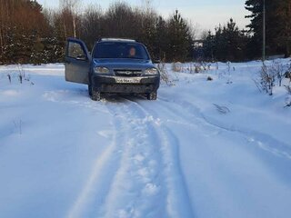2009 Chevrolet Niva I Рестайлинг, серый, 500000 рублей, вид 1