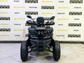 2025 Bison Warrior 200, чёрный - вид 7