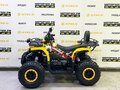 2025 Bison Warrior 200, жёлтый - вид 1