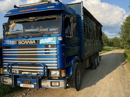 1993 Scania 3-Series, синий, 2800000 рублей, вид 1