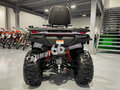 2025 Bashan Explorer 320, белый, 499000 рублей - вид 3