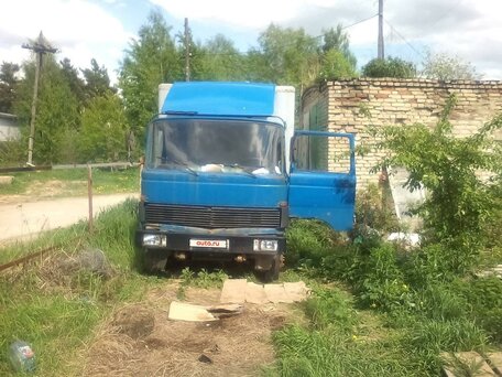 1983 Mercedes-Benz 813, синий, 170000 рублей, вид 2