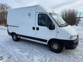 2008 Fiat Professional Ducato, белый, 950000 рублей - вид 1