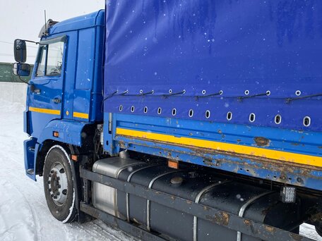 2019 КамАЗ 65117, синий, 4950000 рублей, вид 2