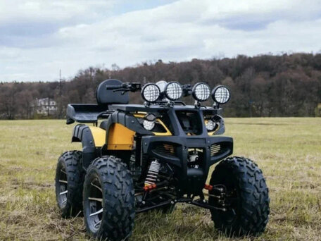 2025 Tiger Max Grade 300, жёлтый, 314400 рублей, вид 1