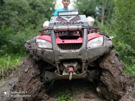 2004 Honda TRX 650 (Rincon), красный, 620000 рублей, вид 3