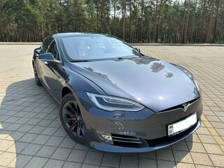 2019 Tesla Model S Performance I Рестайлинг, серый, 4570000 рублей, вид 1