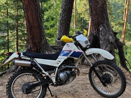 1998 Yamaha XT225 Serow, белый, 195000 рублей, вид 3