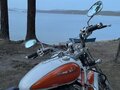 2001 Yamaha XVS1100, белый, 600000 рублей - вид 11
