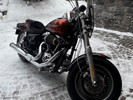 2009 Harley-Davidson Fat Bob, чёрный, 1040000 рублей, вид 3
