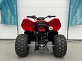 2025 CFMoto CFORCE 110, красный, 269910 рублей - вид 3