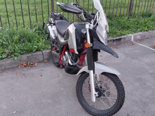 2021 Minsk (Минск) Goose 400, серый, 230000 рублей, вид 1