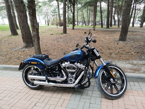 2018 Harley-Davidson Breakout, синий, 2500000 рублей - вид 5