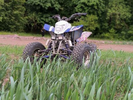 2014 Irbis ATV 250S, голубой, 100000 рублей, вид 4