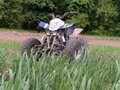 2014 Irbis ATV 250S, голубой, 100000 рублей - вид 3