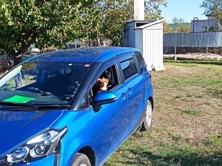 2016 Toyota Sienta II, синий, 1400000 рублей, вид 4