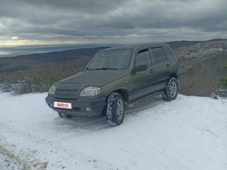 2007 Chevrolet Niva I, зелёный, 450000 рублей, вид 1