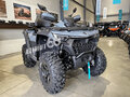 2025 CFMoto CFORCE 800 HO EPS, серый, 1439900 рублей