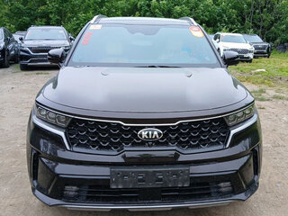 2020 Kia Sorento IV, коричневый, 3650000 рублей, вид 2