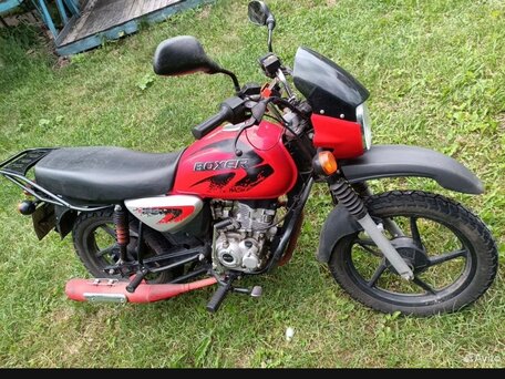 2017 Bajaj Boxer BM 150X, красный, 79000 рублей, вид 1